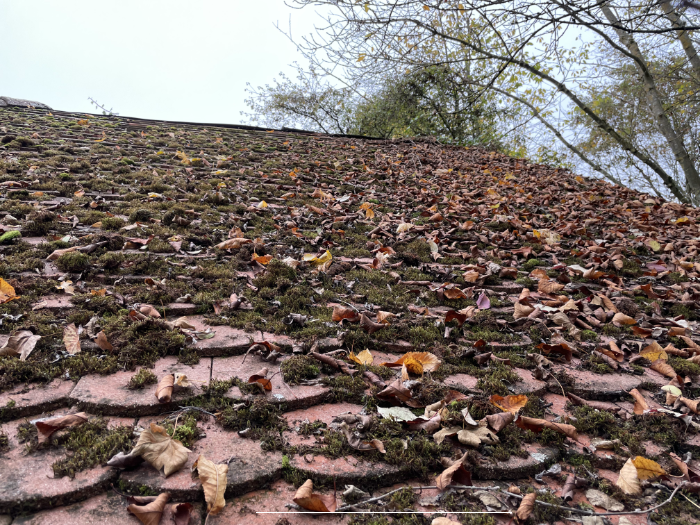 Die Dachschindeln sind nun bereits im untersten Bereich gesäubert.