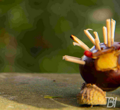 NAJU - Kastanienzeit