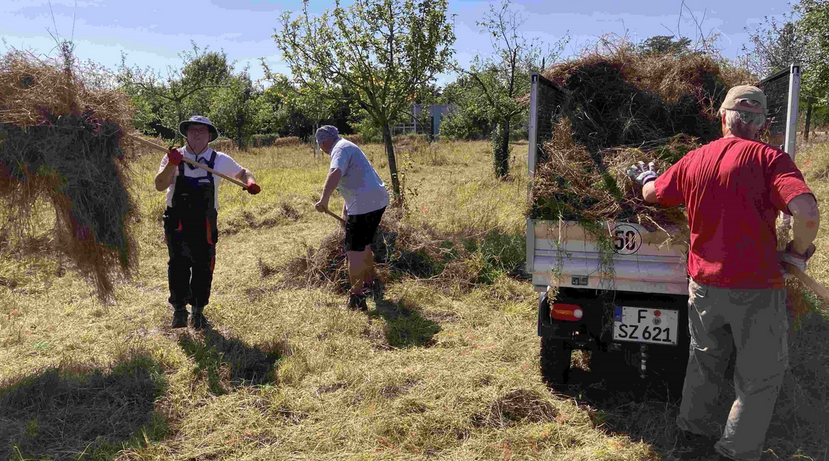 Zum Schluß wird das Heu eingesammelt und an den Rand der Wiese transportiert.