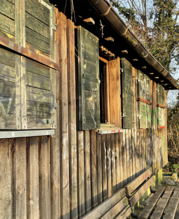 Projekt Buchhügelhütte