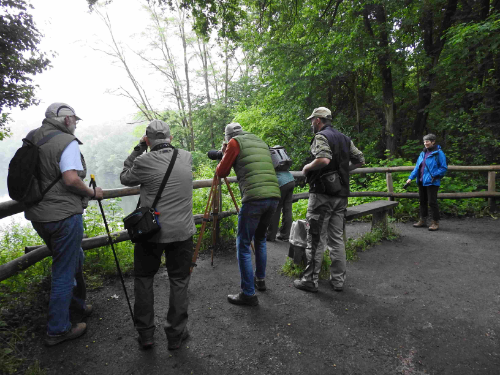 Immer etwas Besonderes: Vogelstimmenwanderungen mit Wilfried