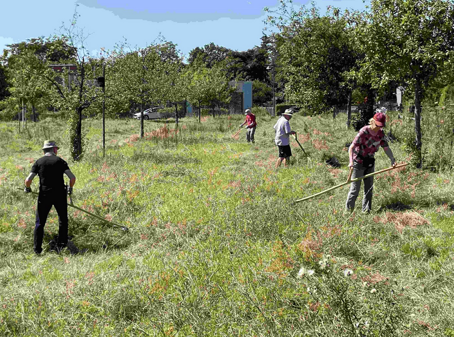 Los geht es: mit schrafem Gerät und viel Power wird den Wildkräutern zur Leibe gerückt.