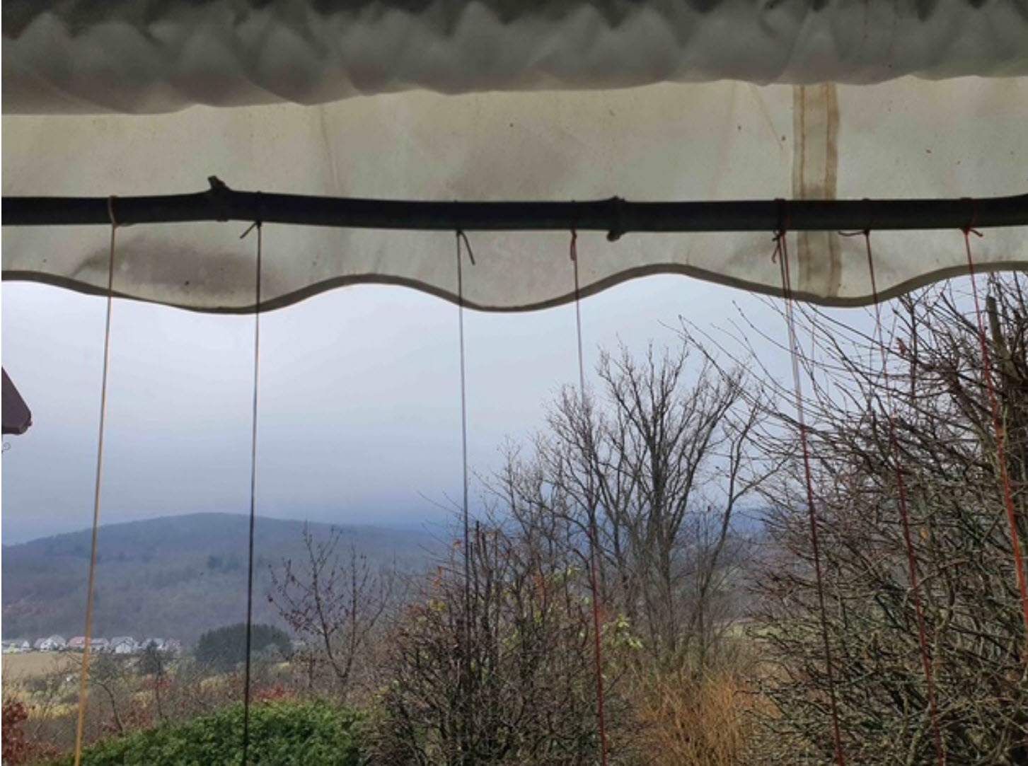 Oben eine Baumbusstange