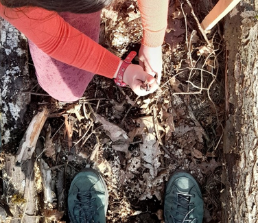 Baumpflanzaktion der Stadt Mühlheim