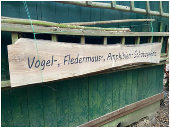 Jahresauftakttreffen im Schutzgehölz