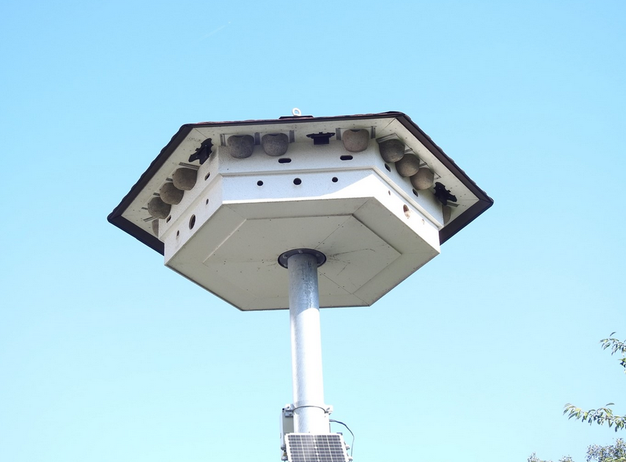 Schwalbenhaus mit Nistmöglichkeiten auch für Mauersegler, Fledermäuse und Sperlinge.