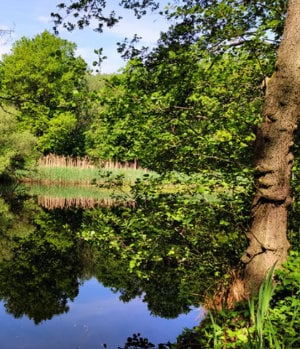 Radtour zum Gasthaus "Grüner See Eck"