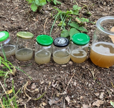 NAJU - Wasser filtern