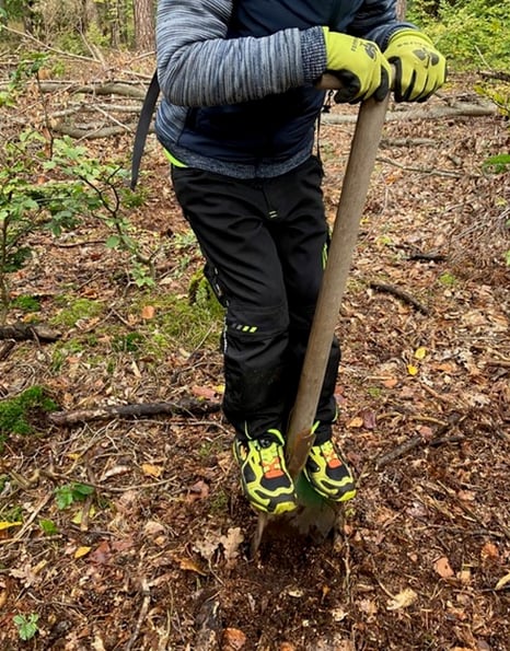 NAJU: Eicheln sammeln und säen