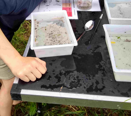 NAJU - Keschern in der Bieber