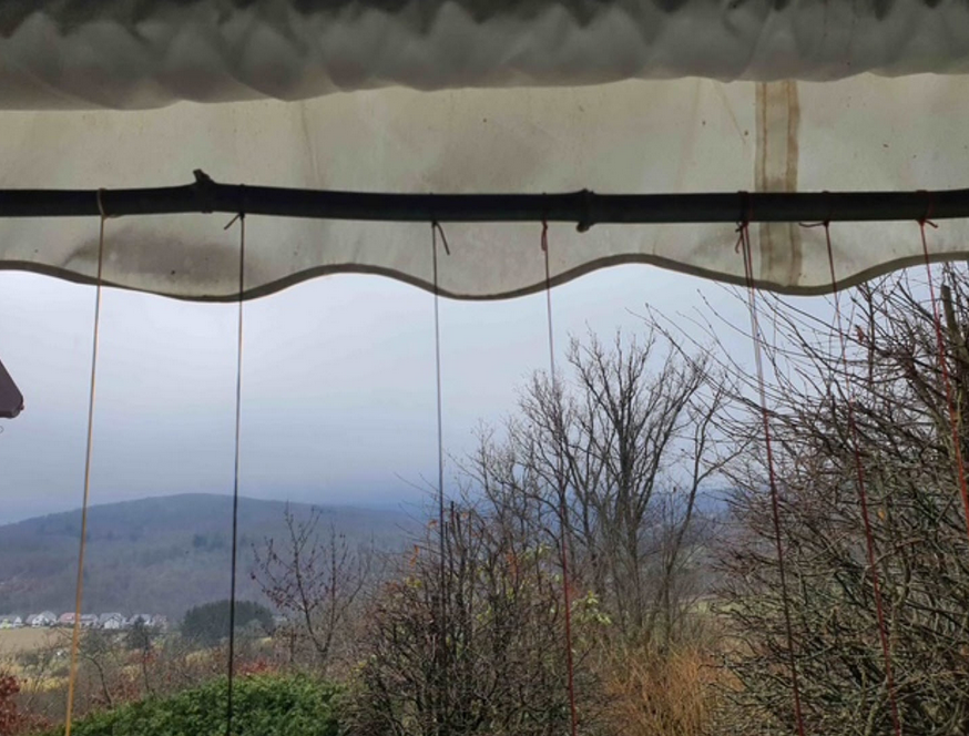 Oben eine Bambusstange ...