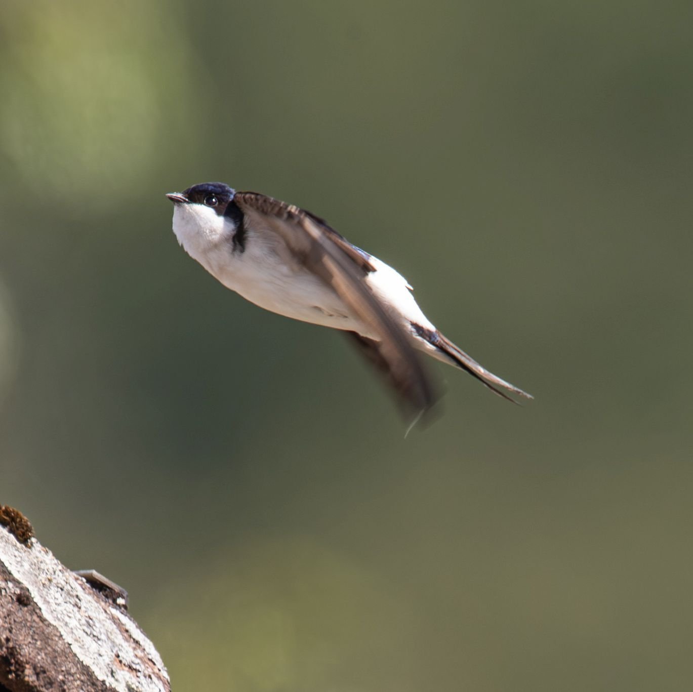 Glücksboten in Mühlheim und Offenbach