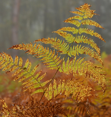 Jahresrückblick des Vorstands