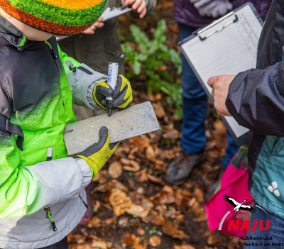 NAJU - Waldgrundstück entdecken