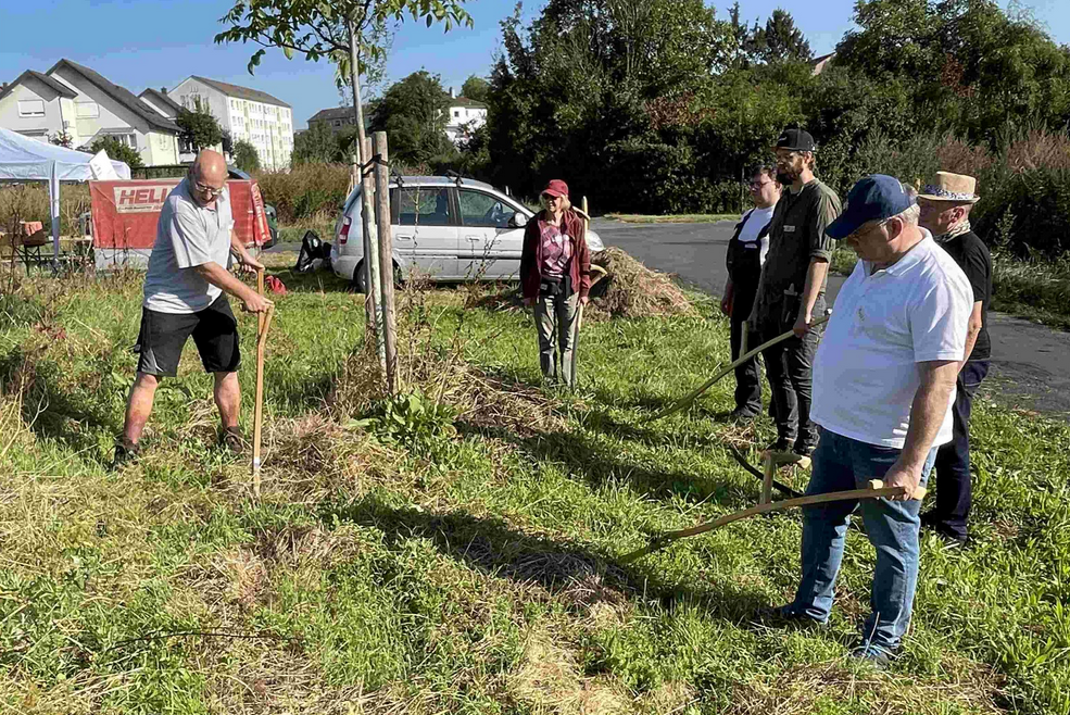 Markus Kunkel erklärt die Handhabung der Sense.