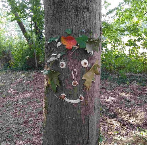 NAJU - Baumgesichter