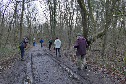 Seine Fans folgen ihm bei jedem Wetter und in jedem Gelände.