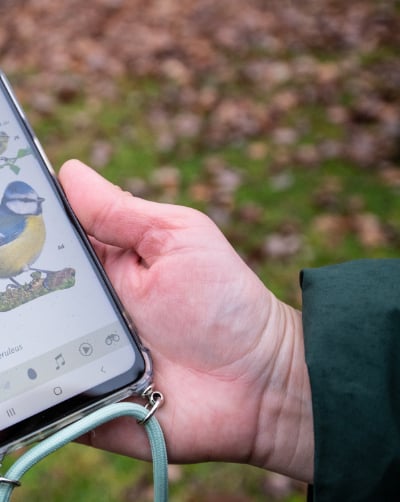 Digitale Tipps rund um Natur- und Klimaschutz