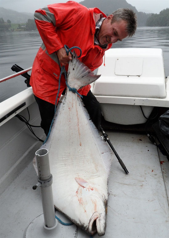 gefangen im Hexenkessel