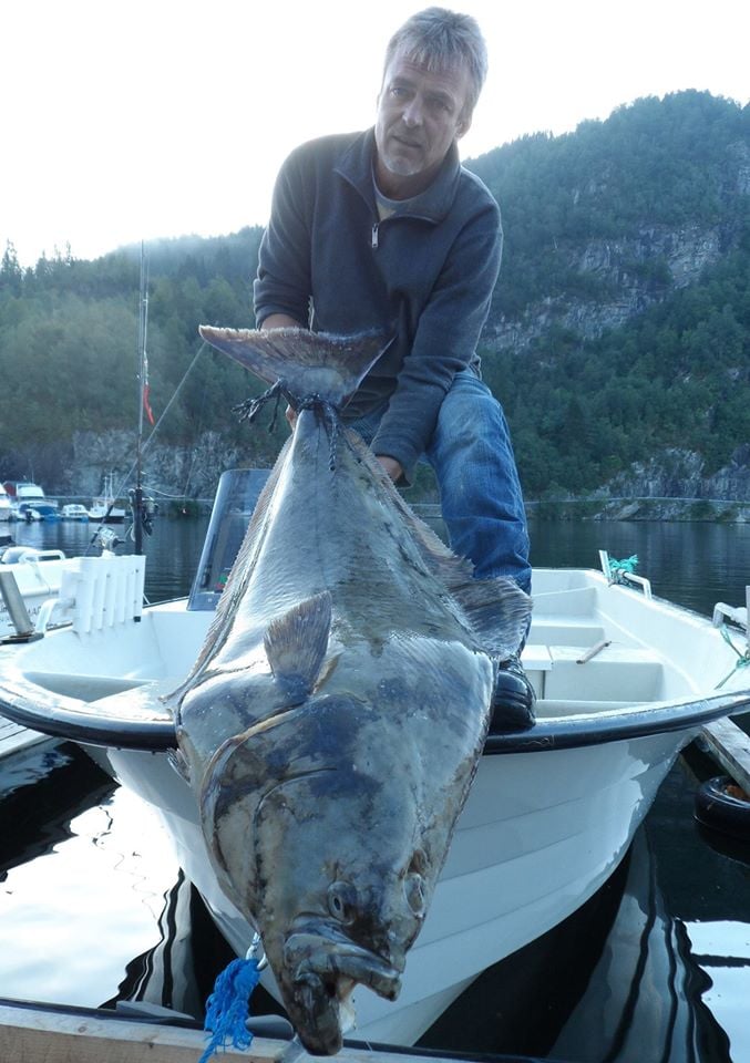 gefangen im Hexenkessel
