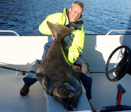 gefangen im Hexenkessel