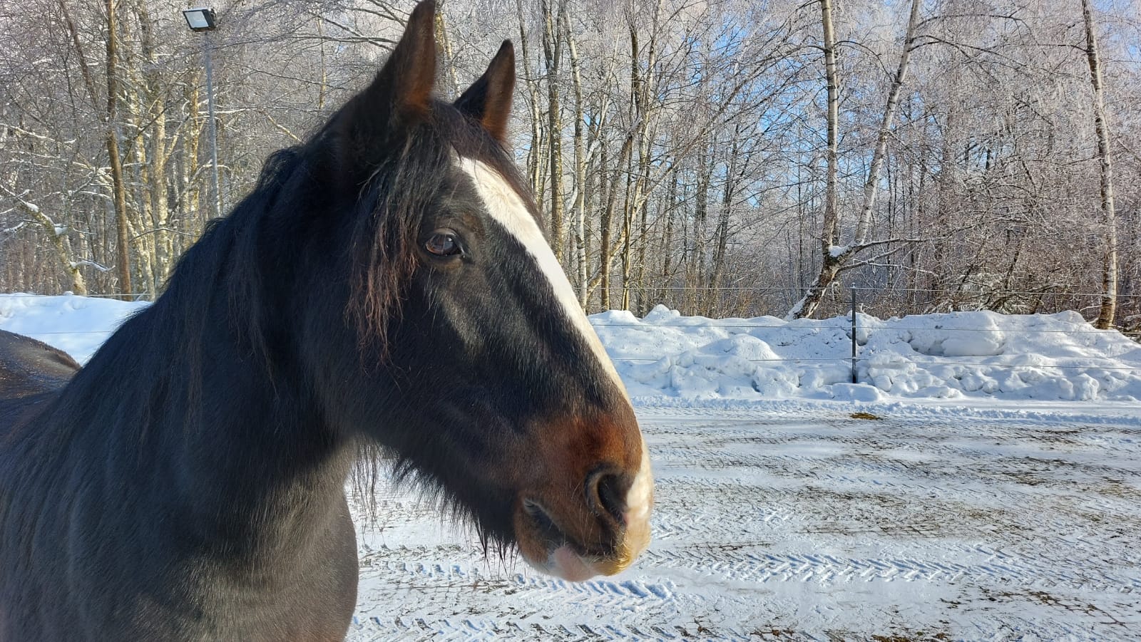 Winter am Säumerhof