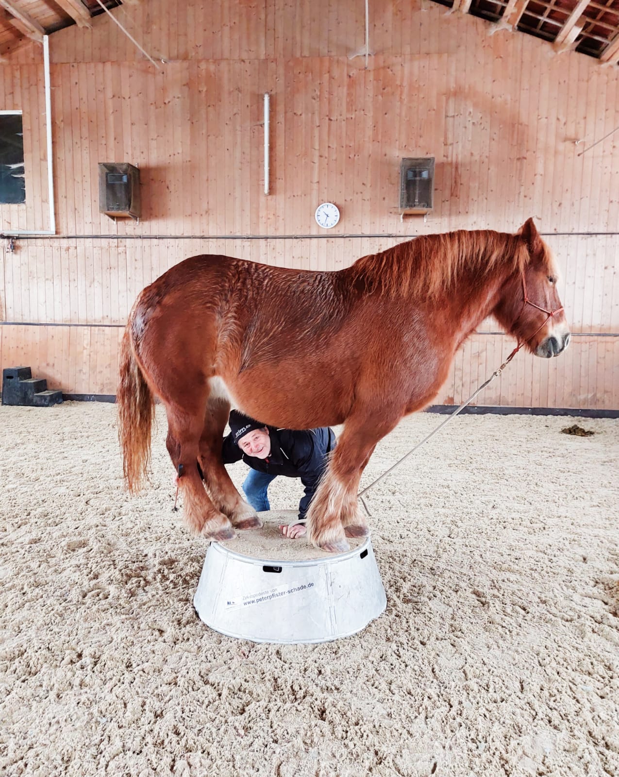 Winterarbeit - Winterspiele - Suli