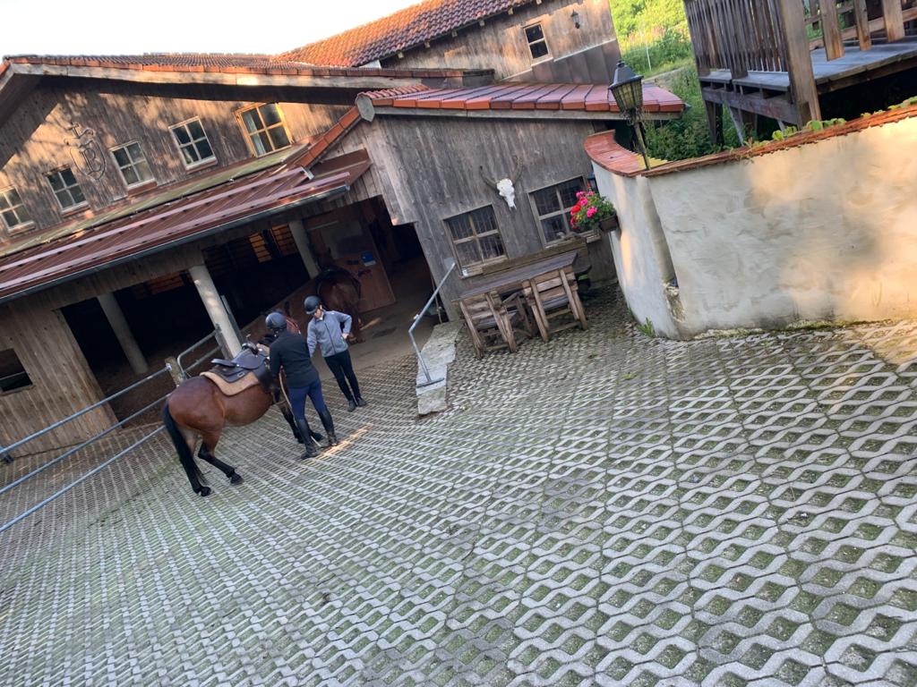 Ausritt im Spätsommer