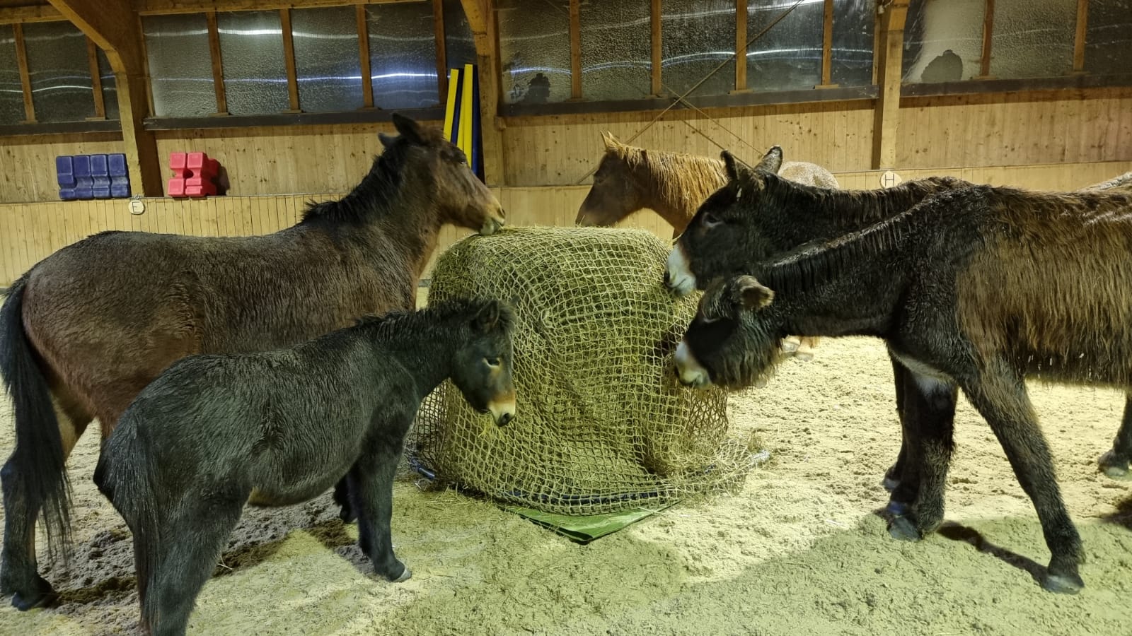 ... und Schlafplatz...