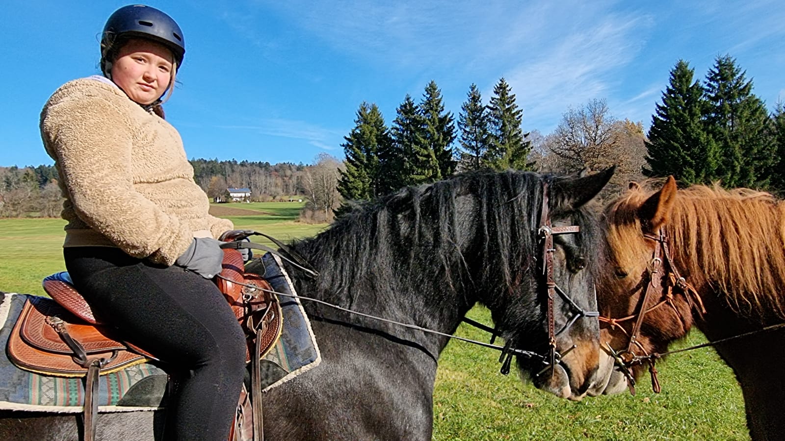 Stallausflug im November