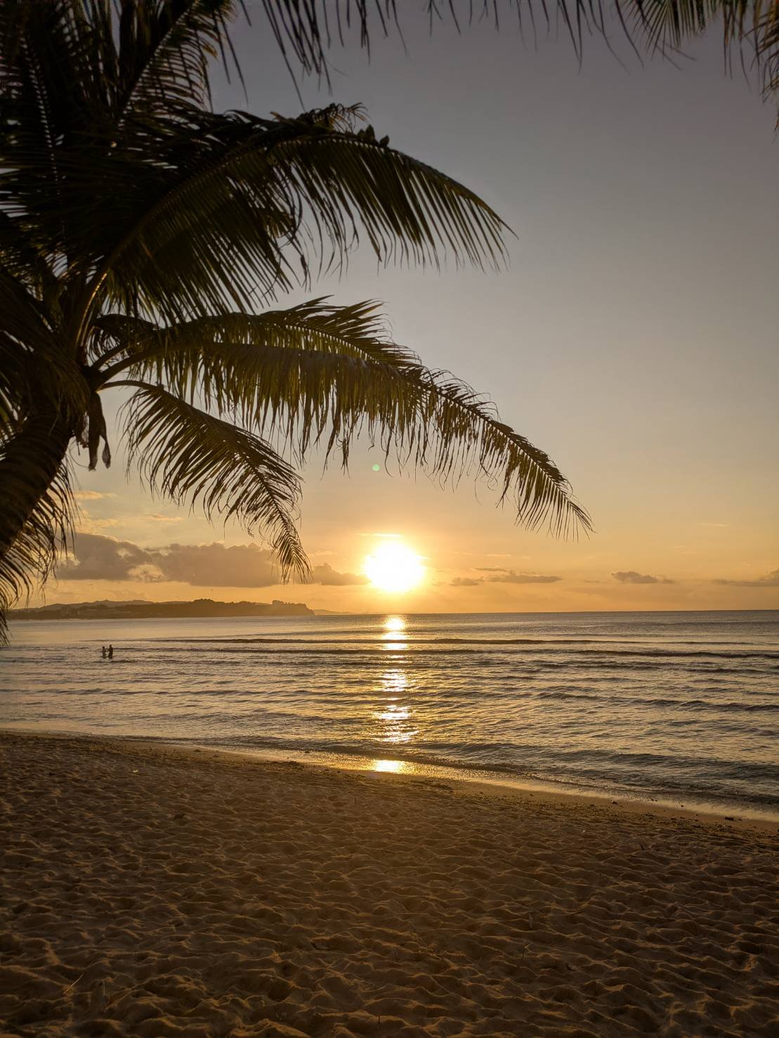 本年もありがとうございました