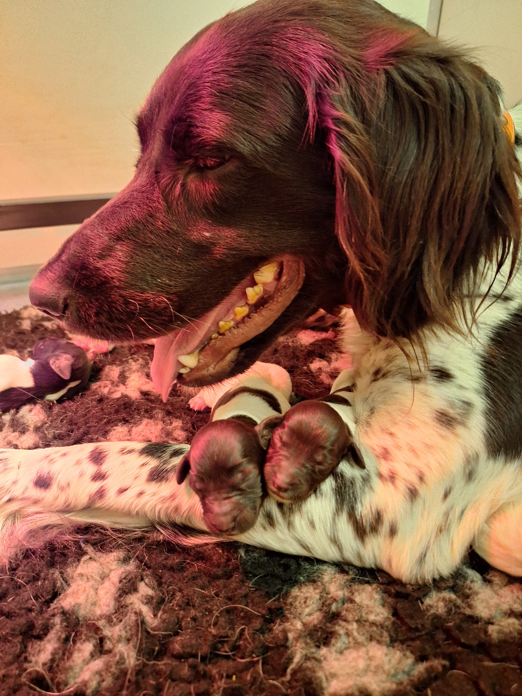 Keya ist eine gute Mutter