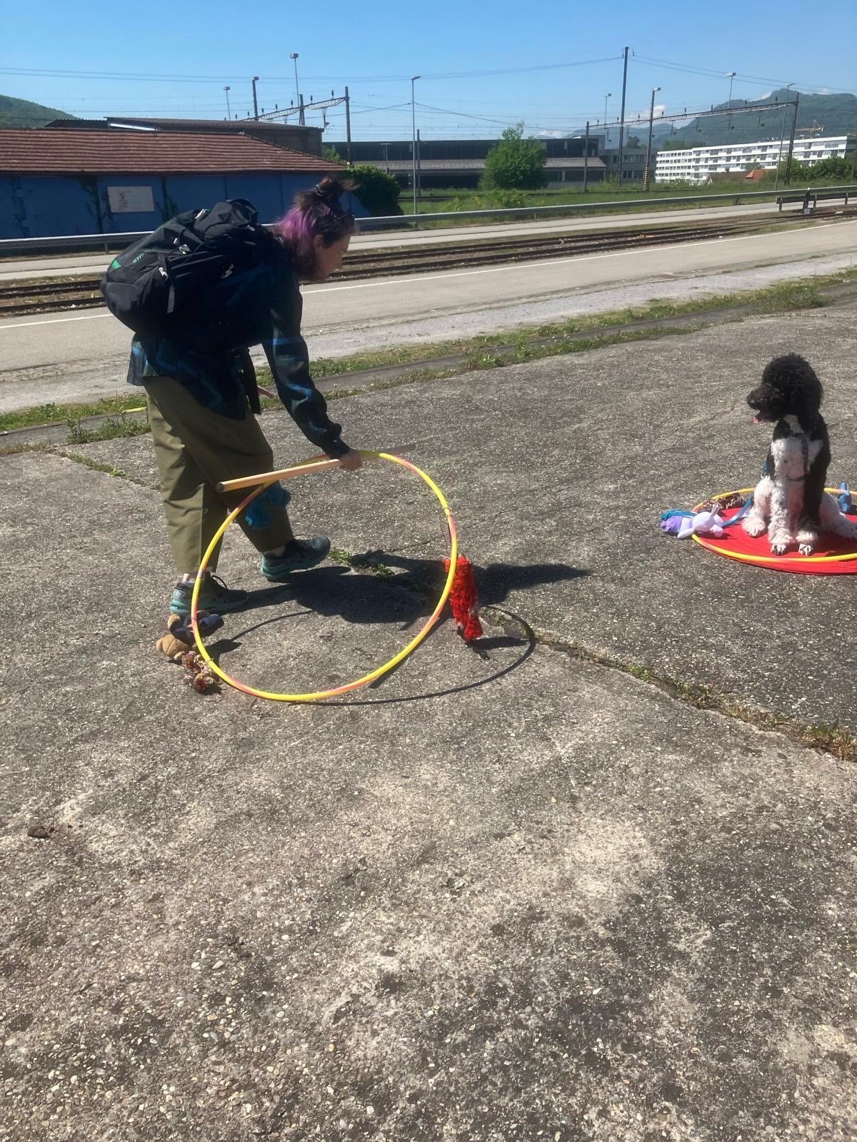 15_Sitz-bleib_trotz viel Reiz_Gehorsamstraining