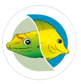 Jungle and Reef Service Adler