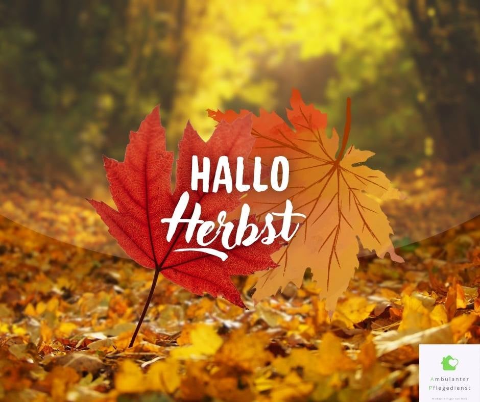 Herbst in Konstanz für Senioren