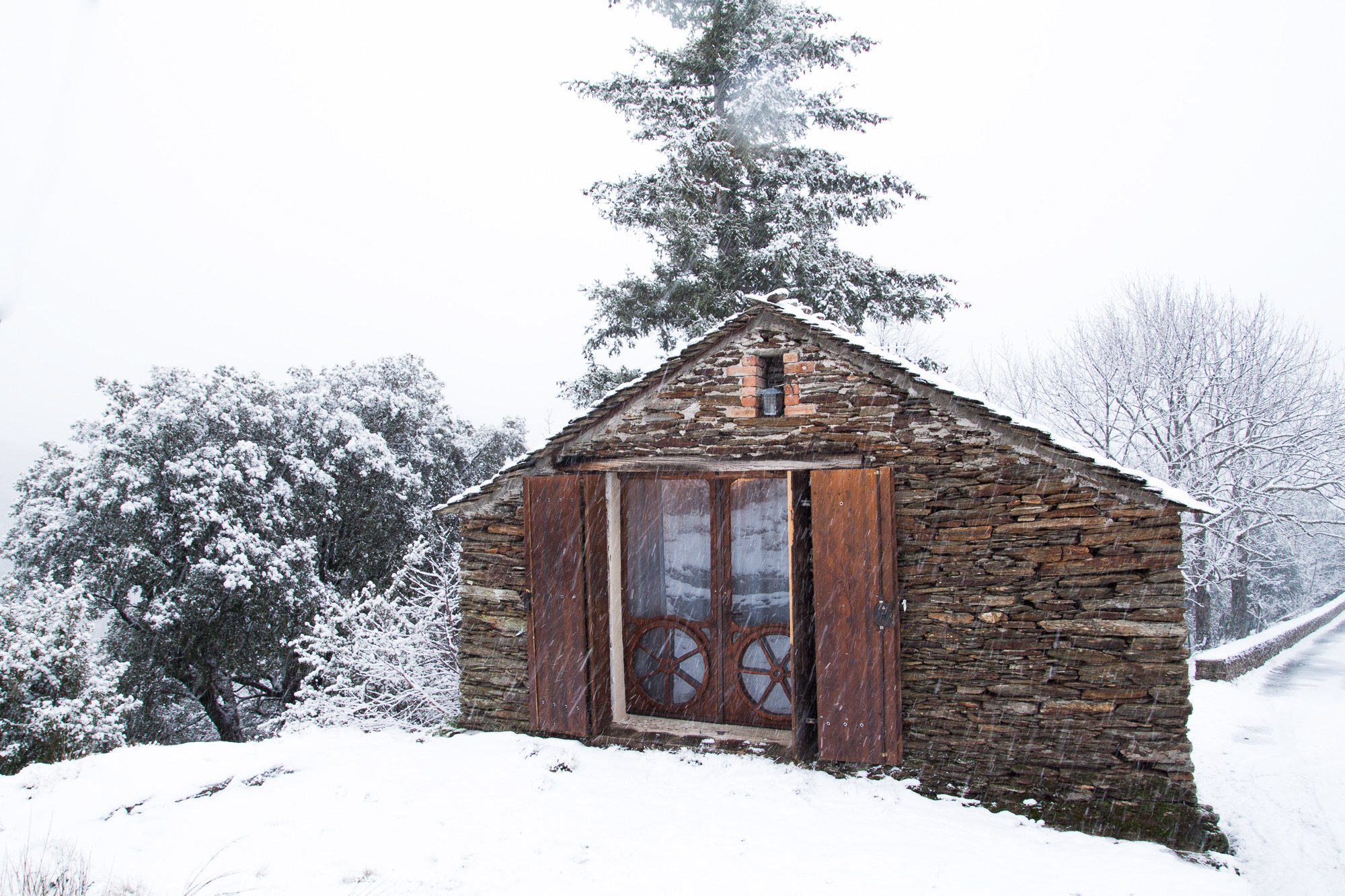 Quand visiter le Parc national des Cévennes ?