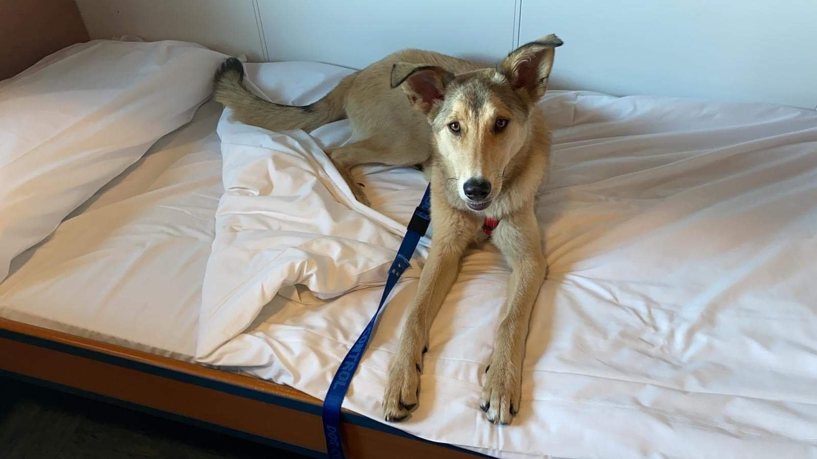 UNTERWEGS VON DURRES NACH BARI MIT DEM FÄRRY