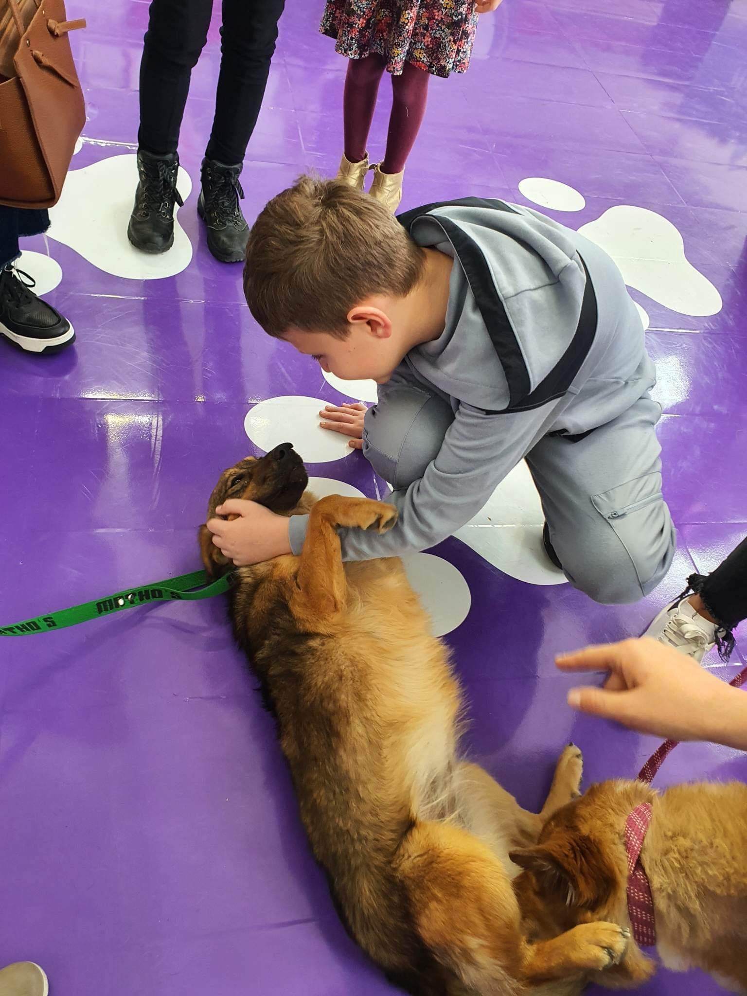 Sensibilisierungtag in ein Shopping organisiert mit unseren Freunden von Dog Coaching Center 