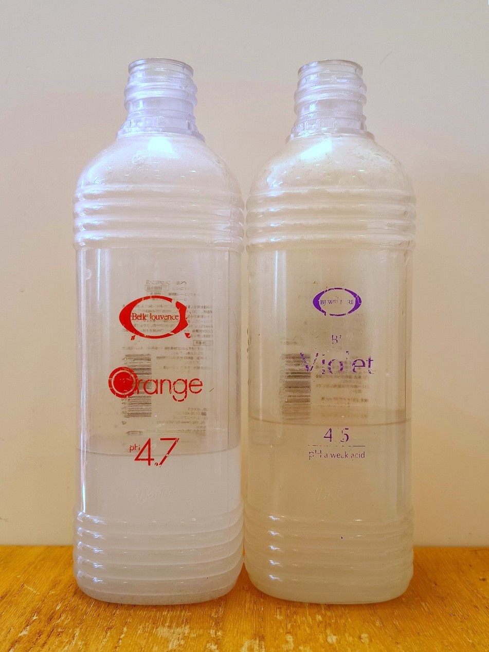 立川 八王子 日野 デトックス