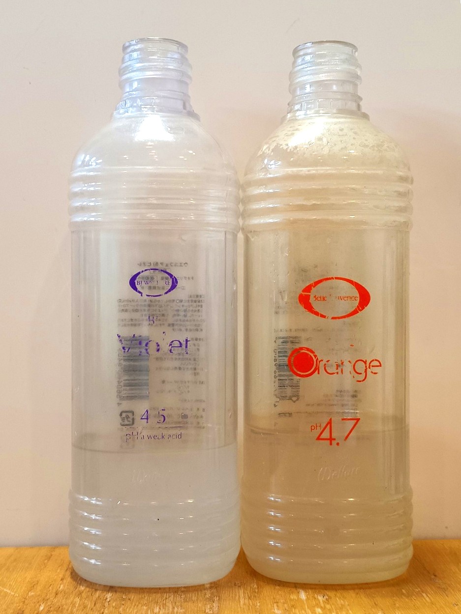 立川 八王子 日野でベルジュバンス デトックス