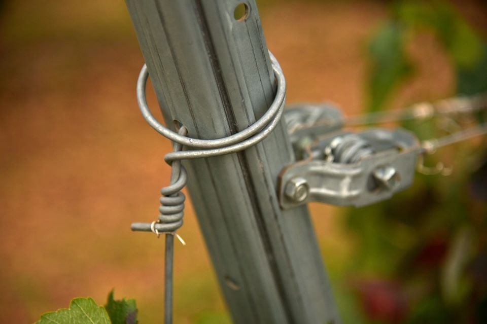 Seleccionada Categoría Serie - Juan Fran Márquez Regen