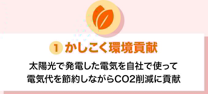 かしこく環境貢献 電気代を節約しながらCO2削減