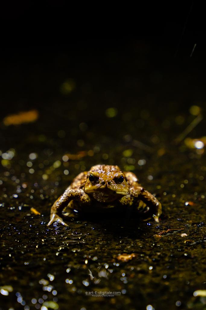 Foto: Alessandra Albrecht