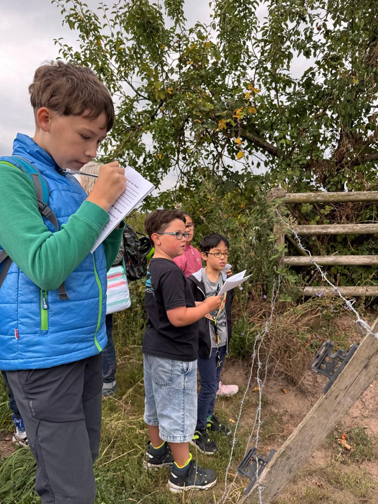 Schnell mal ausfüllen was wir sehen