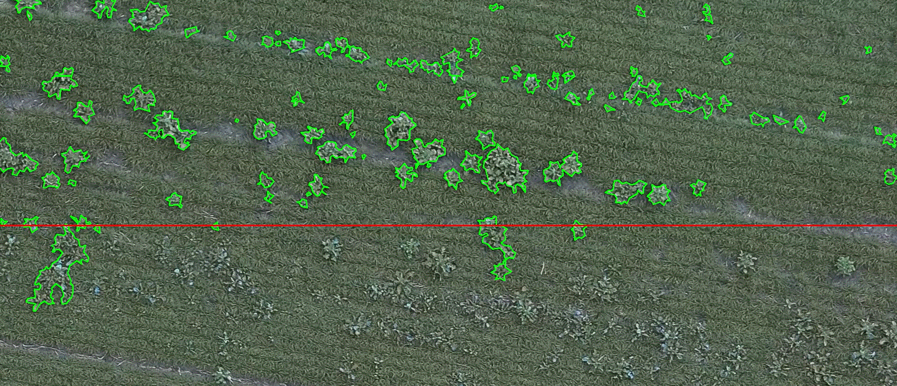 Revolutionizing Weed Detection in Australian Agriculture with AI