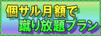 フットメッセ川口元郷　個サル月額