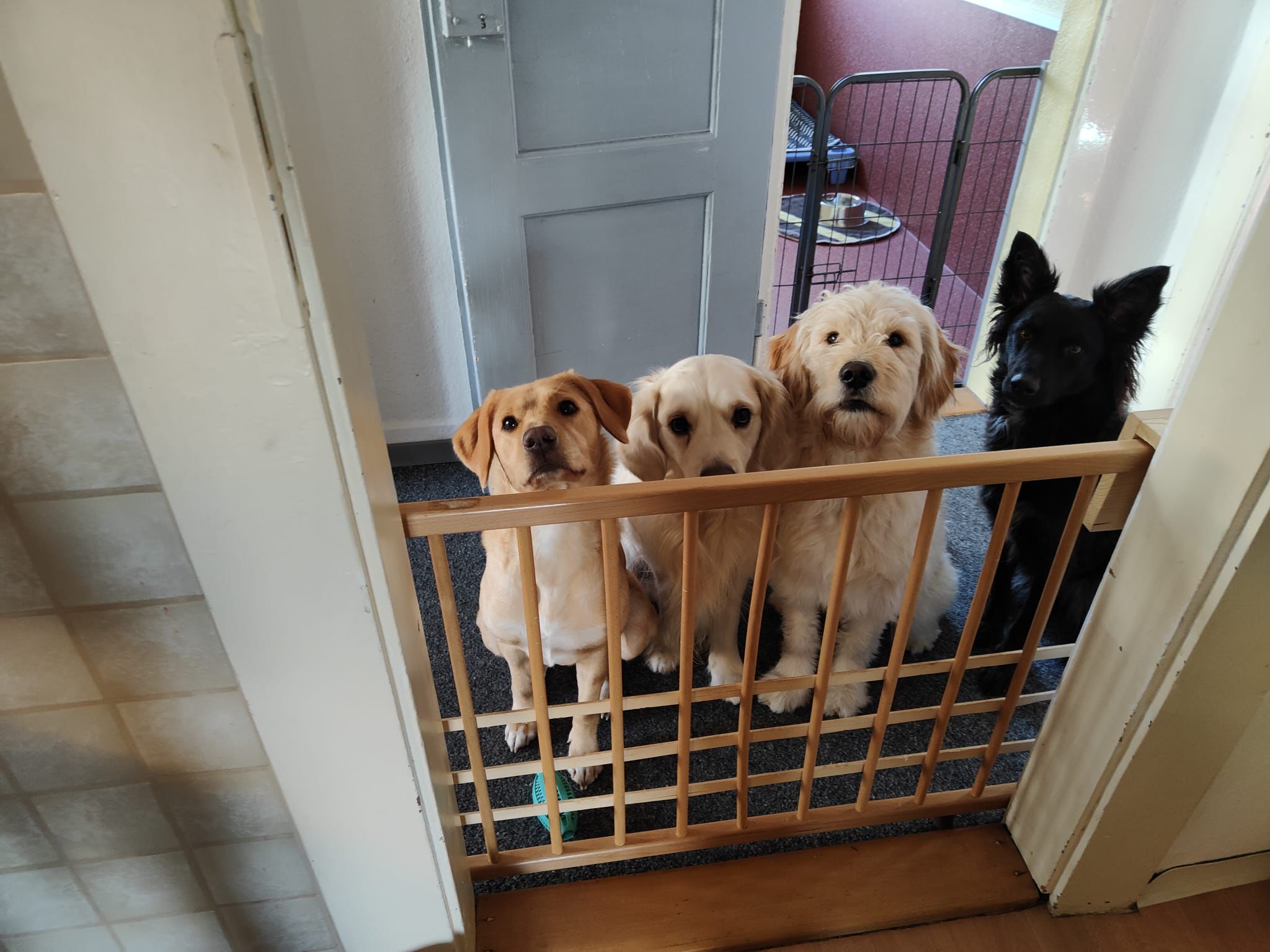 wie lange dauert's denn noch mit dem Mittagessen ?