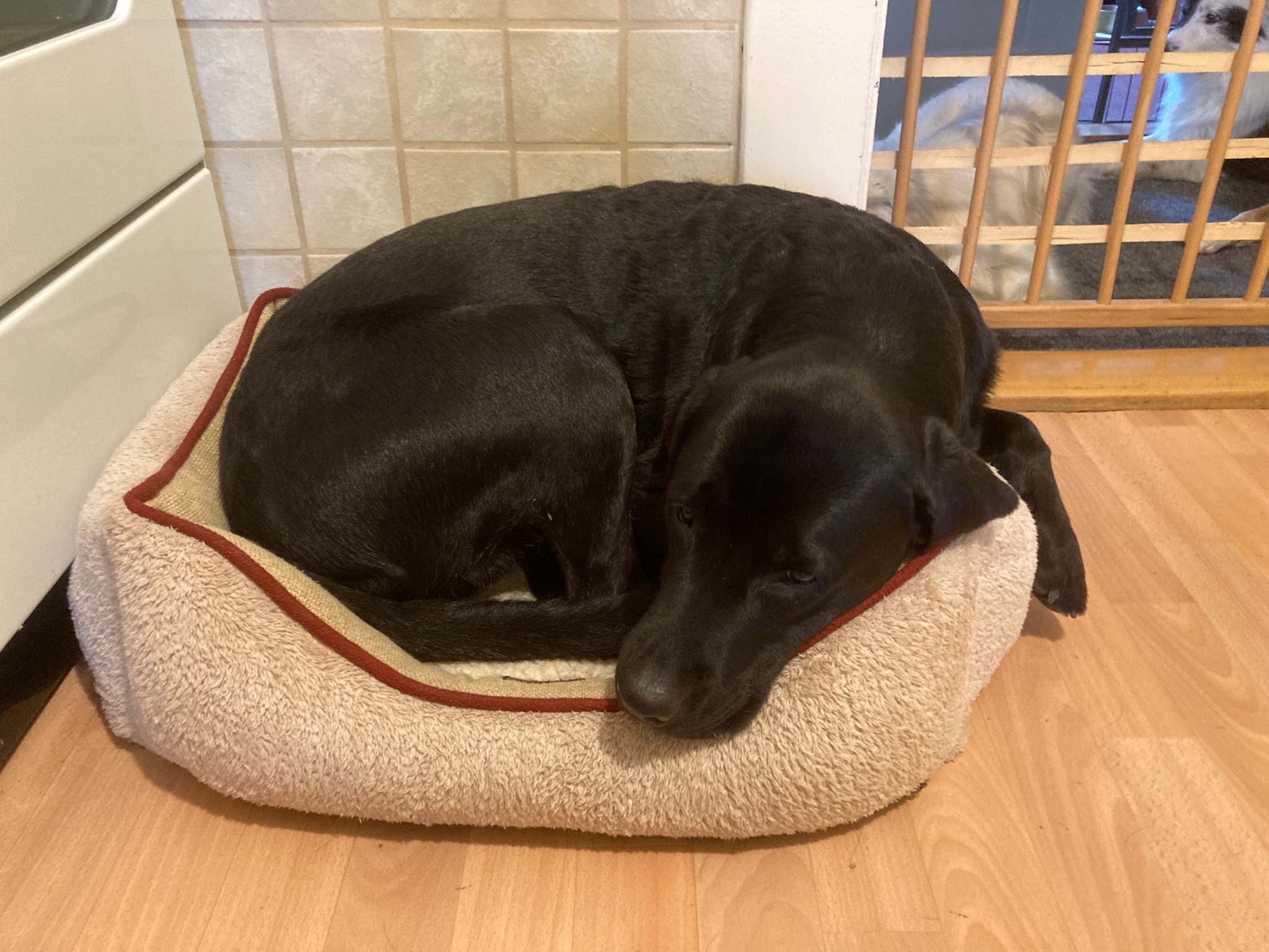 passt perfekt oder ?