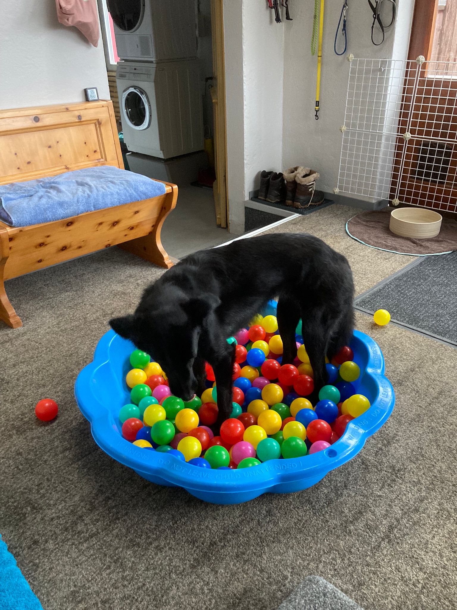 Mittagessen im Bällebad