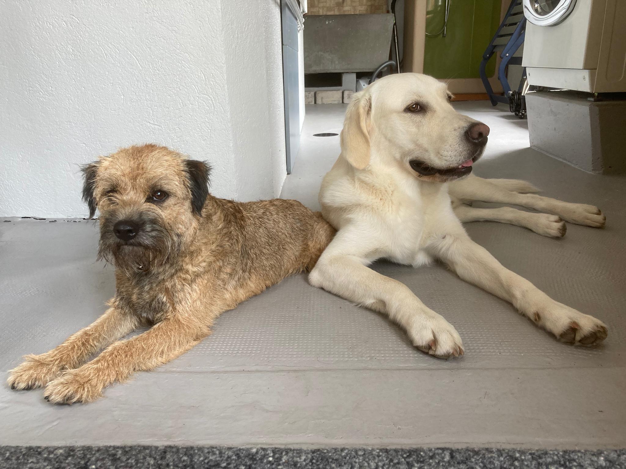 Männer Freundschaft